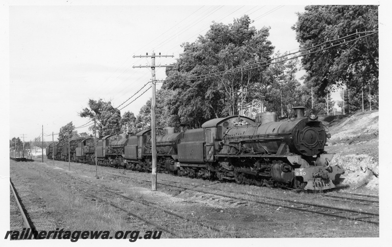 P17471
W class 950, 957, 946, PMR class 733, V class 1121, 1201, 1210 stowed at Collie .BN line.
