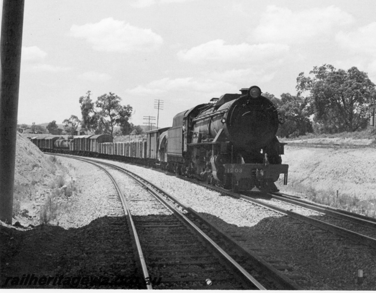 P17508
V class 1203, on No 11 goods train, ER line
