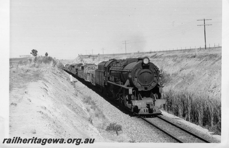 P17516
V class 1205, on No 24 York to Perth goods train, passing through cutting, west of Northam, ER line
