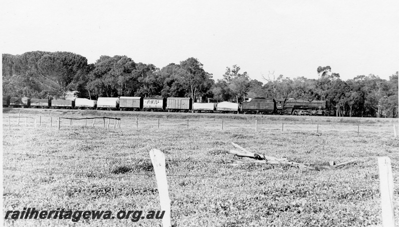 P17523
V class 1205, on No 24 goods train including van with Mayne Nickless advertising, ER line, side view of loco and ten carriages
