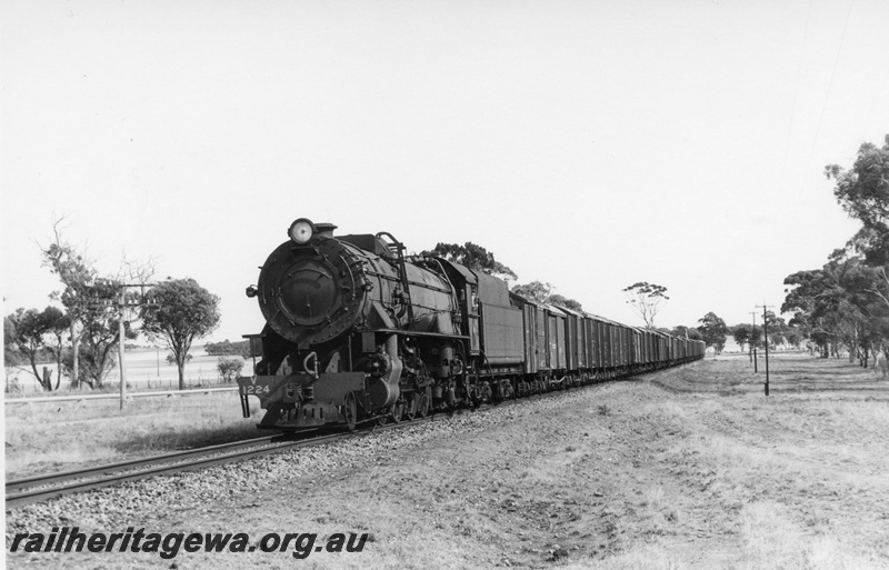 P17544
V class 1224, on No 11 goods train, rural countryside, Popanyinning, GSR line
