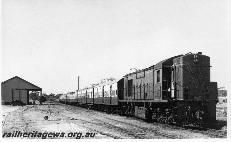 P17579
1 of 4, R class 1903 diesel locomotive on ARHS tour train to Meckering, running short end first, goods shed, cheese knob, sidings and tracks, Meckering, EGR line.
