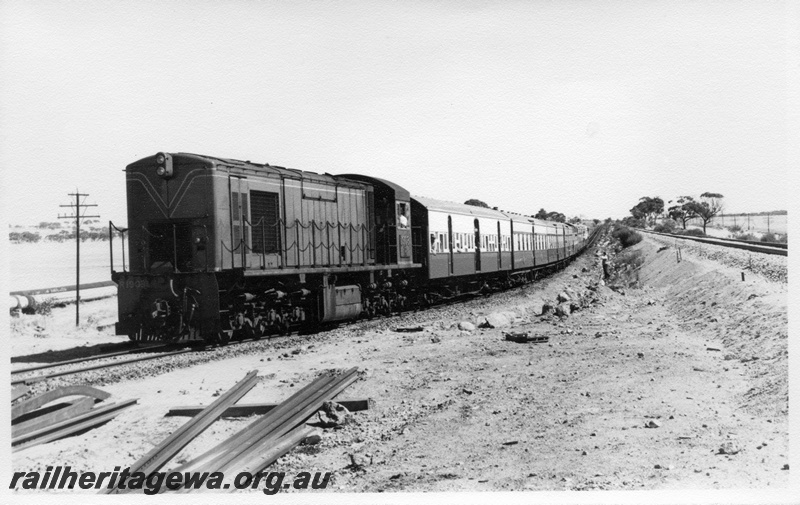 P17582
4 of 4, R class 1903 diesel locomotive on ARHS tour train to Meckering, running long end first, running alongside the standard gauge line west of Meckering, EGR line.
