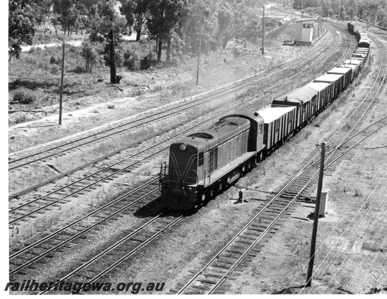 P17605
C class 1703 diesel locomotive hauling a freight train through Koojedda. ER line. An elevated view showing wagons of wheat behind the locomotive. Note the signal box in the distance.
