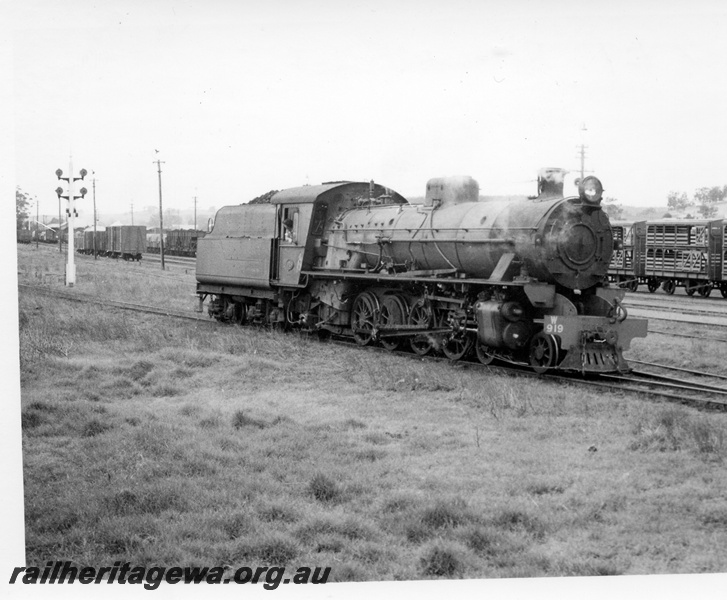 P17619
W class 919 steam locomotive at Brunswick Junction. SWR line. Note the livestock wagons to right and other freight wagons at rear. Shunting dolly signals to rear of locomotive.
