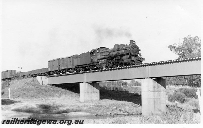 P17763
PMR class 732 steam locomotive with 23 goods on the Preston River Bridge near Picton Junction, SWR line. Note the steel girder bridge and concrete pylons.
