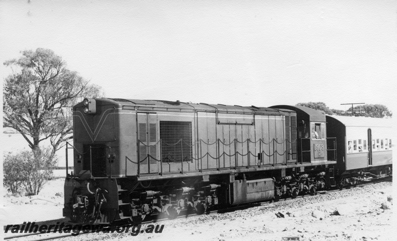 P17786
R class 1903, on ARHS tour train to Meckering, EGR line, front and side view
