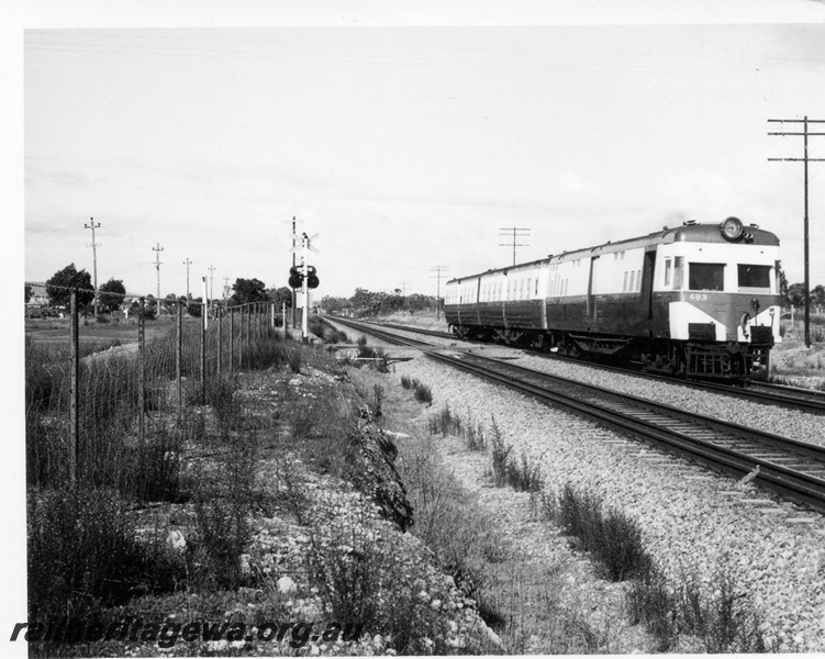 P17795
ADF class 493 