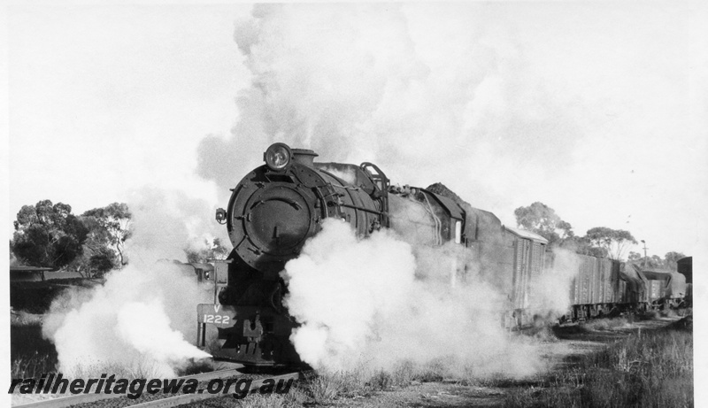 P17832
V class 1222 steam locomotive working 19 goods on departure to Albany from Narrogin. GSR line. Steam from the cylinders is hiding any view of the loco
