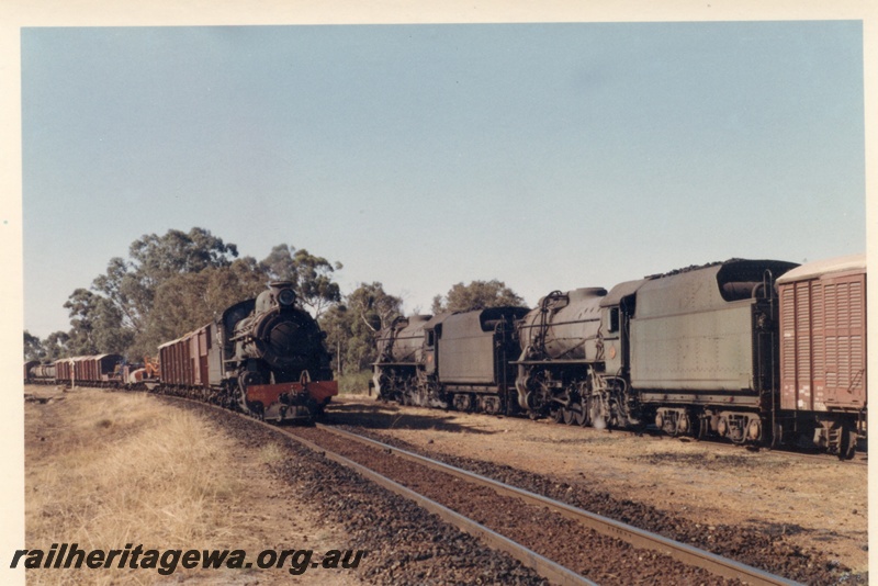 P17835
PR class 523 steam locomotive arriving on the main line with 17 goods to cross V class 1221 & 1210 with 16 goods at Popanyinning. GSR line. Side view of rear V class and darkened front view of PR class.
