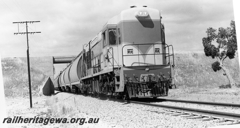 P17891
K class 204, heading grain train, passing under flyover, Kenwick, side and front track level view
