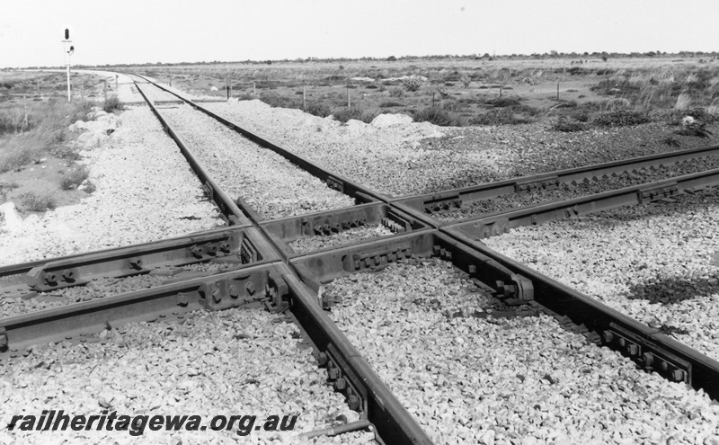 P17902
1 of 2 Newgold crossing near Port Hedland airport, Mount Newman Railroad line is running from the bottom towards the top of the picture, Goldsworthy Railway line runs across from one side of the picture to the other, colour light signal on Mount Newman line to protect the crossing, as Goldsworthy trains had right of way since that line was constructed first
