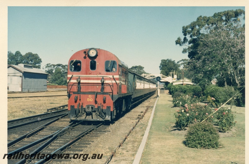 P17964
Ex MRWA G class 50, on Midland to Perth suburban passenger service, goods shed, pedestrian footbridge, station building, flowering shrubs, Guildford, ER line
