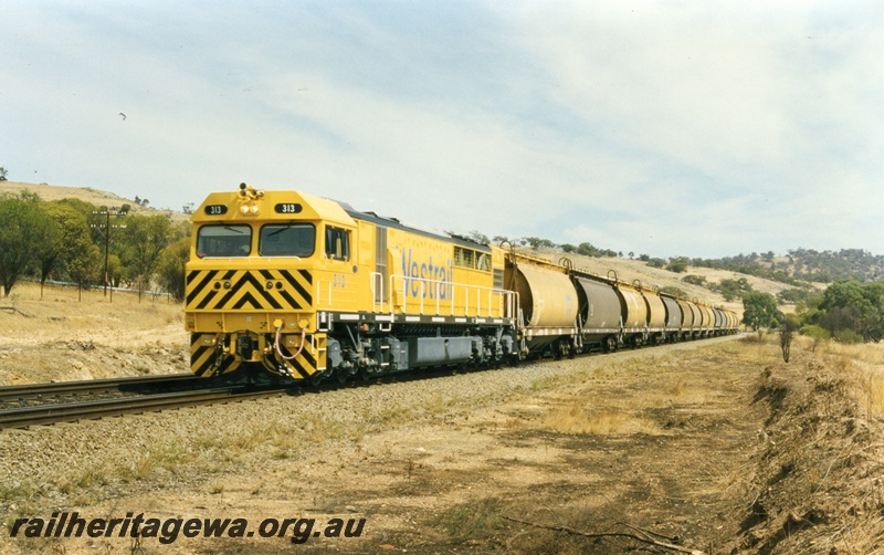 P17976
Q class 313, on empty wheat wagon train to Merredin, EGR line 
