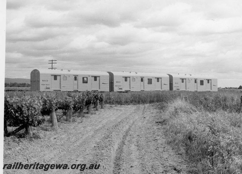 P18012
Three WBA class standard gauge vans, vineyard, dirt road, Millendon, end and side view
