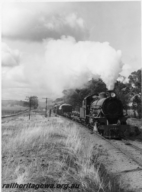 P18146
W class 901, on Akru 84 goods train from Wickepin, NKM line
