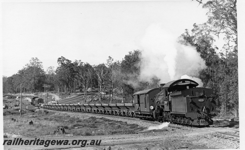 P18171
FS class 423 and FS class 452, at front and back of goods train, level crossing, on return to Donnybrook
