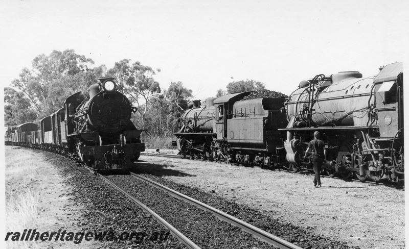 P18213
W class 931 steam locomotive on No.17 goods train, crossing W class 959 double heading with V class 1220 steam locomotives, side view, Popanyinning, GSR line.
