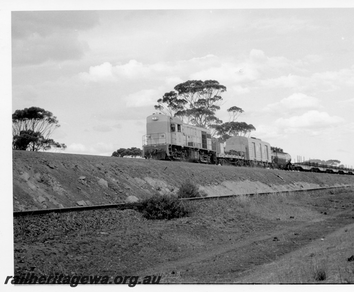 P18355
H class 4, on westbound standard gauge plant train, Kellerberrin, EGR line
