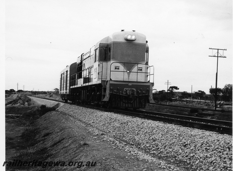 P18382
K class 203, WBA class 805, near Meckering, EGR line, on test speed rum from Perth to Merredin and return
