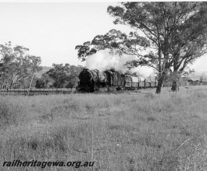 P18392
V class 1224, on No 17 goods train, near Spring Hill, ER line
