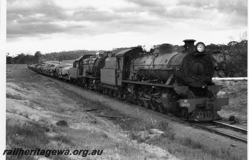 P18439
W class 919, S class 550, double heading goods train, rural setting, side and front view
