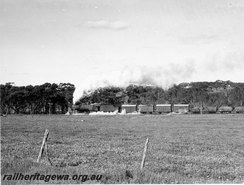 P18440
V class 1204 on Narrogin to York goods train, GSR line, P class 508 banker out of shot. See P18441, P18442
