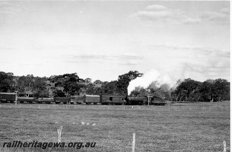 P18442
P class 508, banking on Narrogin to York goods train hauled by V class 1204 out of shot, fence and paddock in foreground, GSR line. See P18440, P18441
