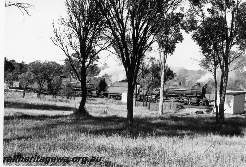 P18443
W class 919, S class 550, double heading goods train, rural setting, side view through trees
