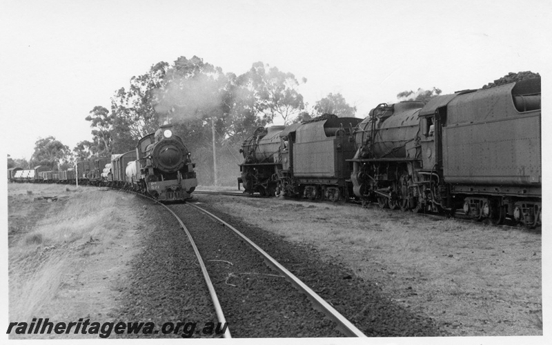 P18508
PR class 521, on goods train, crossing V class 1206, V class 1207, on No 12 goods train, GSR line
