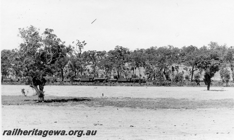 P18539
W class 919, W class 914, on No 54 Wagin to Collie goods train, distant side view
