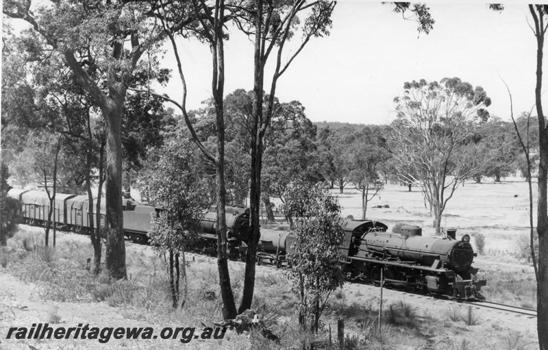 P18540
W class 920, S class 546, on No 104 goods train, approaching Bowelling, side and front view through trees
