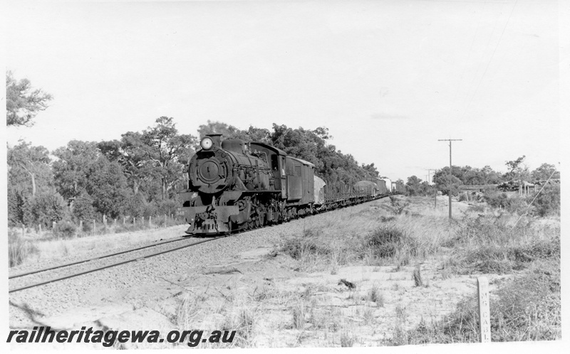 P18543
W class 948, on No 339 goods train, bush setting, front and side view
