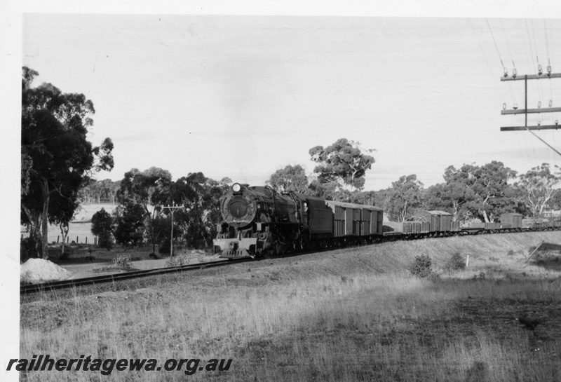 P18554
V class 1209 on No 18 goods train from Katanning, front and side view
