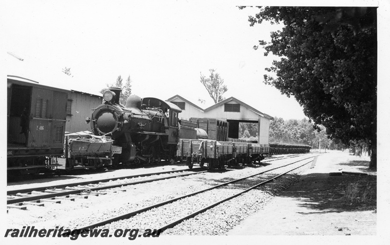 P18599
FS class 423, Z class 486, H class 17, H class 2252, goods shed, Mullalyup, PP line
