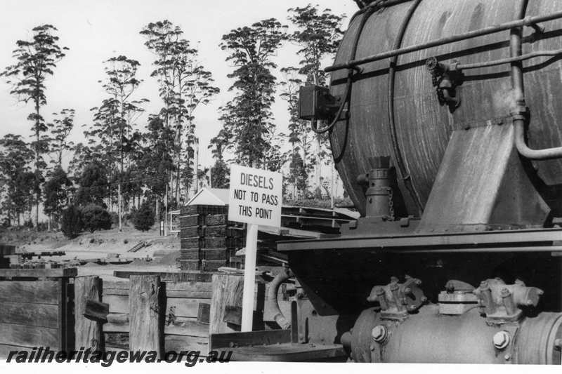 P18614
W class 903 on ARHS tour, timber stacks, sign saying 