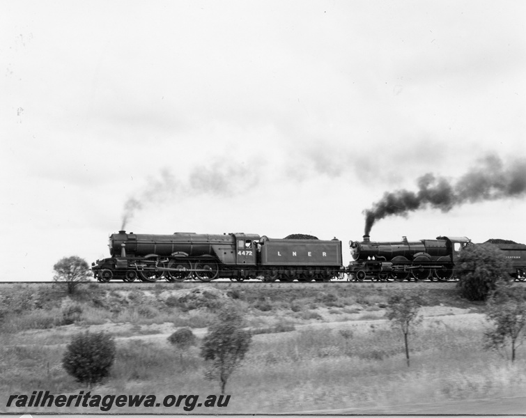 P18632
4472 'The Flying Scotsman' and 4079 'Pendennis Castle' English steam locomotives travelling east of Northam on the 'Flying Scotsman's' return trip to the Eastern States.
