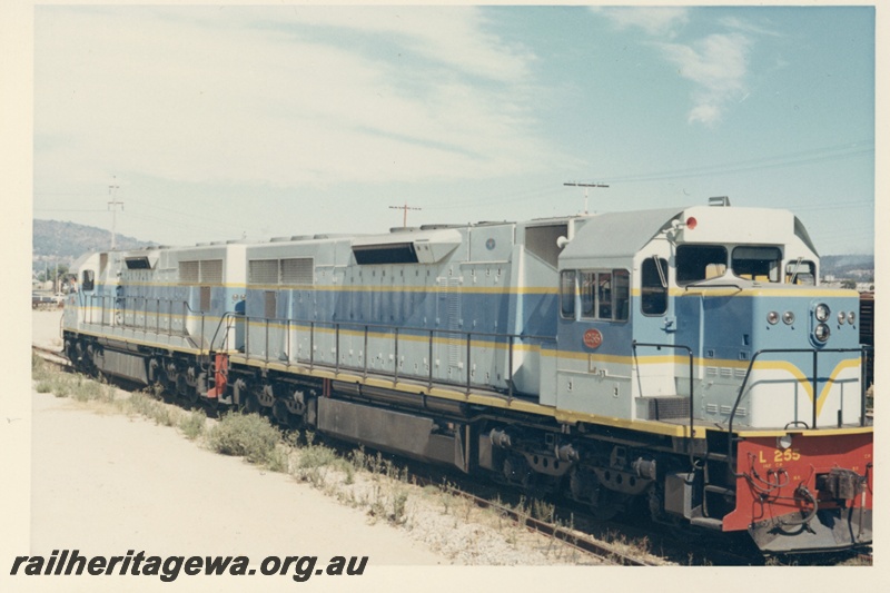 P18686
L class 255, L class 254, coupled together, in light blue and darker blue stripe edged with yellow, side and end view
