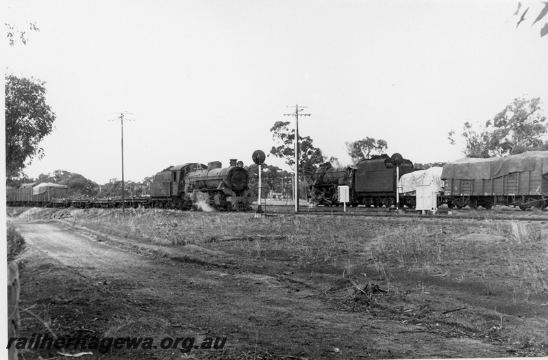 P18707
W class 901 on goods train, crossing V class loco on goods train, light signal, Narrogin
