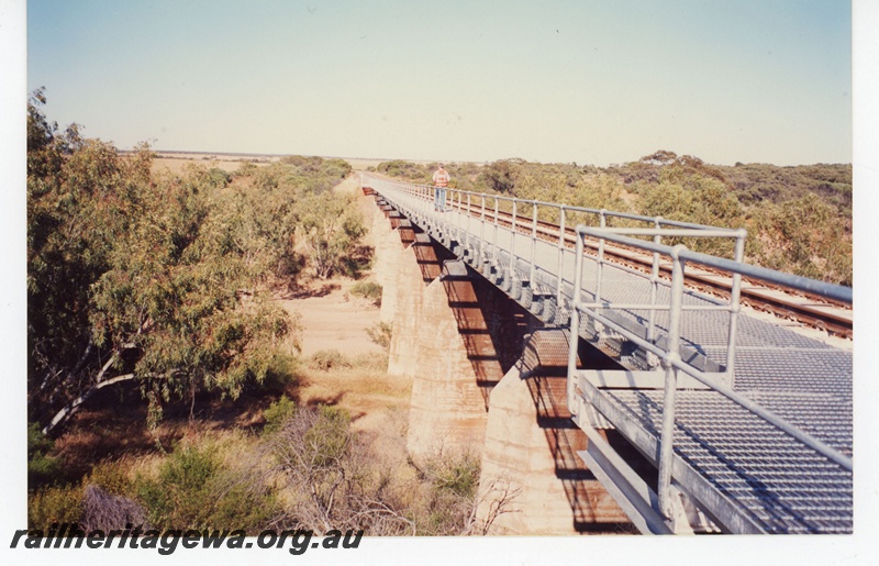 P19073
Eradu - steel bridge over Greenough River. NR line.
