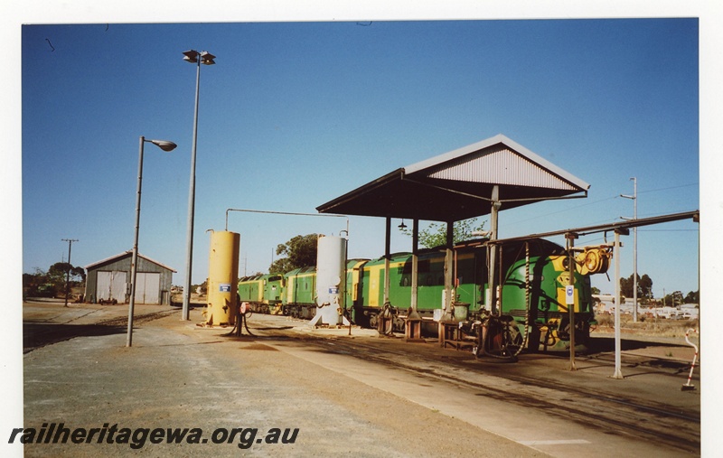 P19092
Australian Western Railway - refuelling depot Kalgoorlie. Photo shows several CLF locomotives in green/yellow livery. EGR line. 
