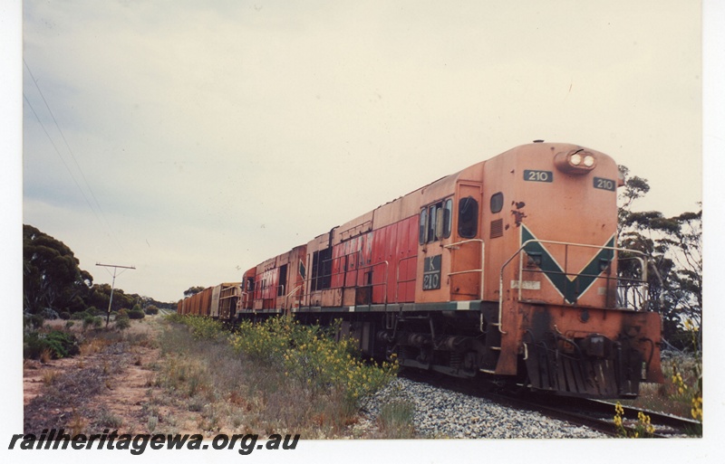 P19103
Westrail K class 210leads another K class near Norseman. CE line.
