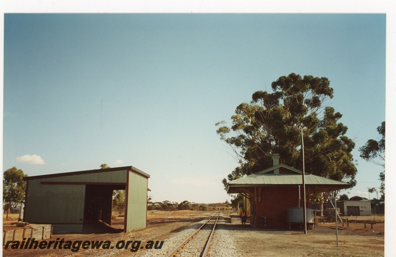 P19104
Dumbleyung station and goods shed. View looking east. WLG line.
