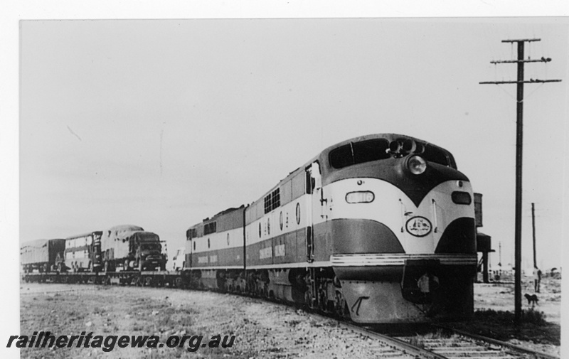 P19202
Commonwealth Railways (CR) GM class 16 and another GM class diesel double heading a freight train of flat wagons loaded with motor vehicles, water tower (part), TAR line, side and front view 
