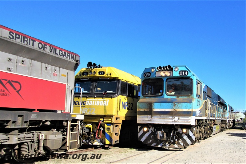 P19315
CBH Group CBH class 014 passing MRL class 002 and NR class 22 on the lines through the site of the Rail Transport Museum, Bassendean
