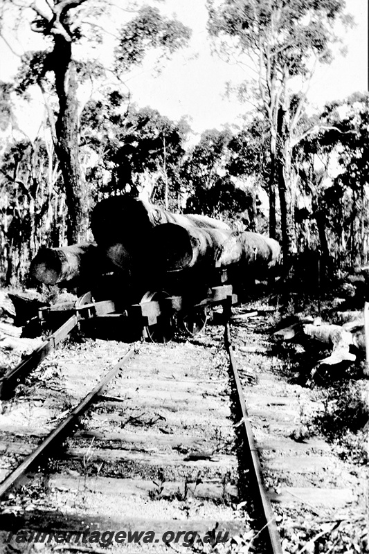 P19324
Timber wagon, derailed, at Buckingham's mill, end view
