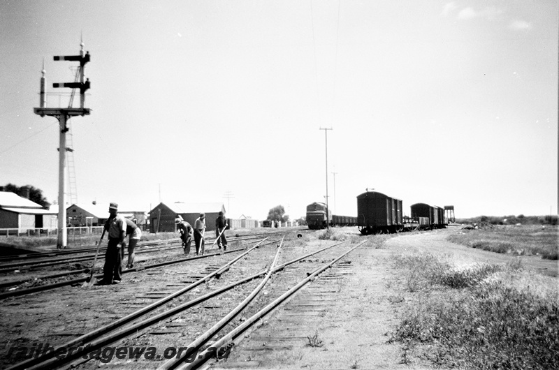 P19527
X class loco on goods train, rake of vans and wagons in siding, bracket signals, workers, points, sidings, Southern Cross, EGR line, track level view
