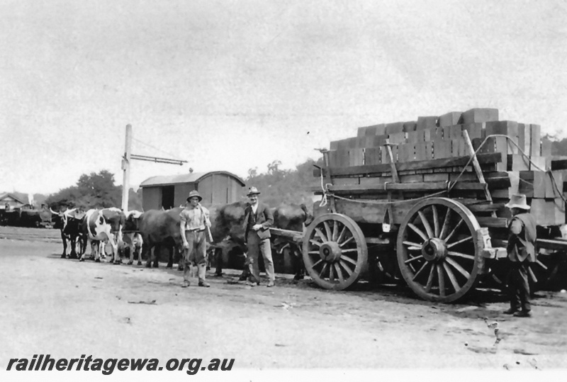 P19615
Bridgetown - bullock cart in station yard and locomotive depot in background. PP line.

