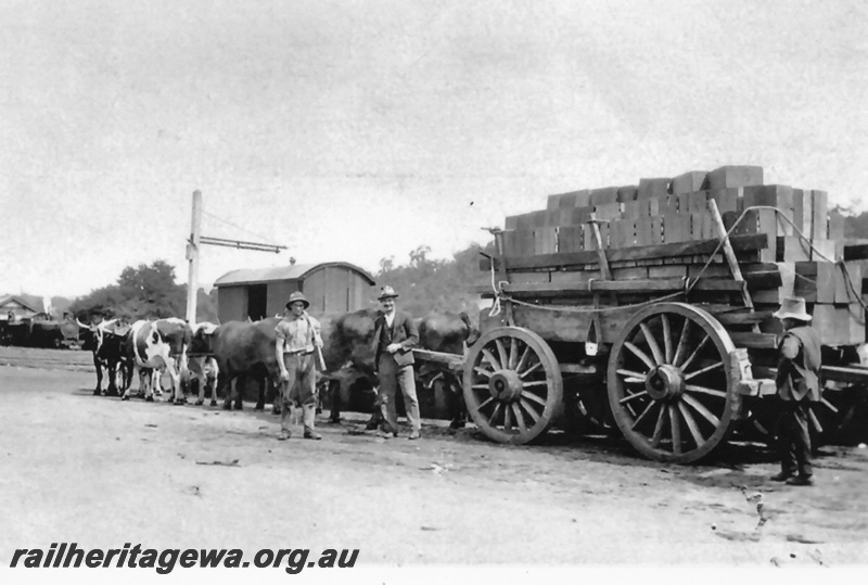 P19615
Bridgetown - bullock cart in station yard and locomotive depot in background. PP line.
