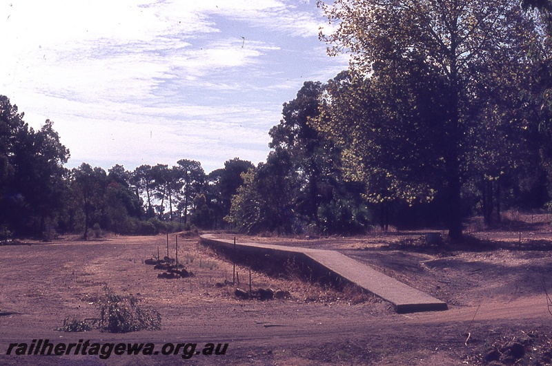 P19718
Abandoned platform and formwork, bush setting, Darlington, ER line
